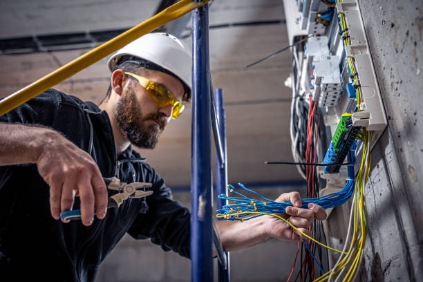 Best Generator Installation Services  in Plafield, IN